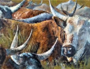 "Horns (Nguni Cattle)"
