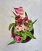 "Looking Down on Lilies"