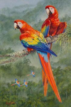 "Scarlet Macaws"