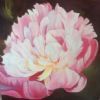 "Pink Peonie"