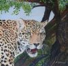"Leopard"