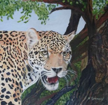 "Leopard"