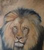 "Lion"
