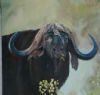 "Buffalo"