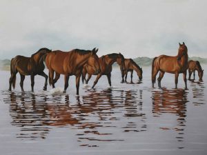 "Botriver Wild Horses"