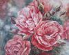 "Salmon Garden Roses"