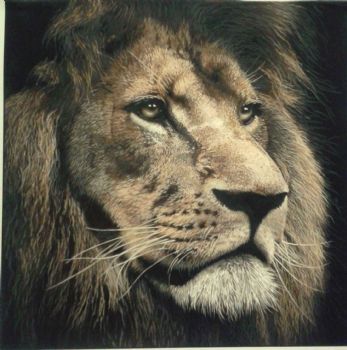 "Strength"