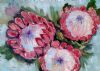 "Three Pink Proteas"