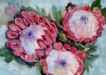 "Three Pink Proteas"