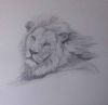 "The Lion"