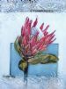 "One Pink Protea"