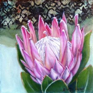 "Protea with lace detail"