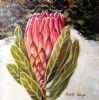 "Pink Protea, SA National Flower, Lace Detail"
