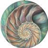 "Nautilus"