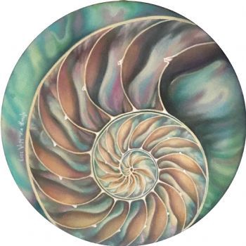 "Nautilus"