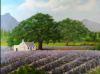 "Franschhoek Lavender Farm"