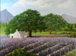 "Franschhoek Lavender Farm"