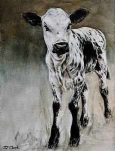 "Nguni Calf - Anke"