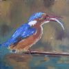 "Malachite Kingfisher"