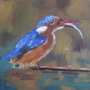 "Malachite Kingfisher"