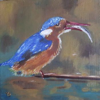 "Malachite Kingfisher"