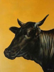 "Nguni Cow - Ella"