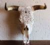 "Cow Skull,Carved,Back Lights"