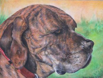 "Portrait of Susie"