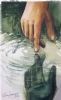 "Reflection in the Water Sold"