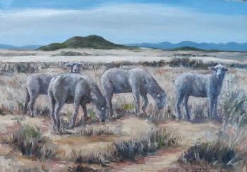 "Karoo Whisper"