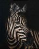 "Stripes"