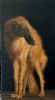 "Borzoi"