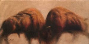 "Bison Study"
