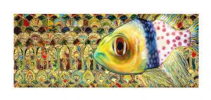"Pajama Cardinalfish"