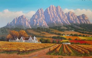 "Simonsberg  Winelands"