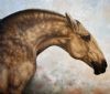"Equus Caballus"
