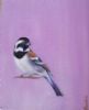 "Sparrow - Lilac"