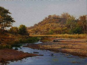 "Kruger Park Wilderness 1"