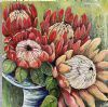 "Proteas 2"