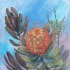 "Proteas in My Garden 1"