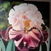 "Bearded Iris"
