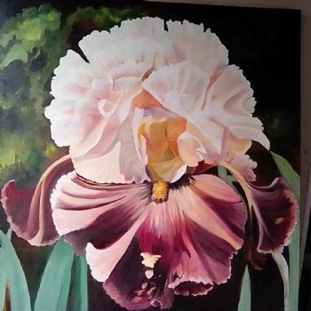 "Bearded Iris"