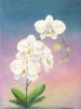"Sunrise Orchids"