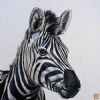 "Zebra Portrait"