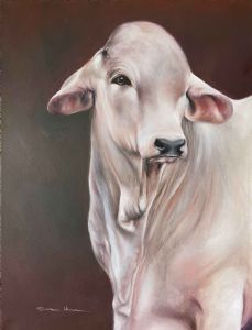 "Brahman Calf"