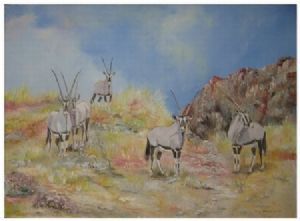 "Oryx - Gemsbuck"