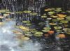 "Lily Pond 13"