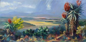 "Cape Aloes"