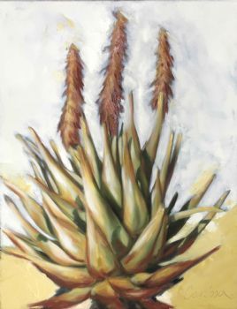 "Aloe "
