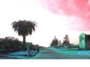 "Pollak Park"